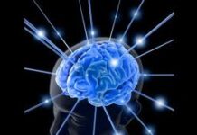 cerebro