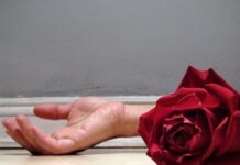 Cuando un Ser Querido se Suicida