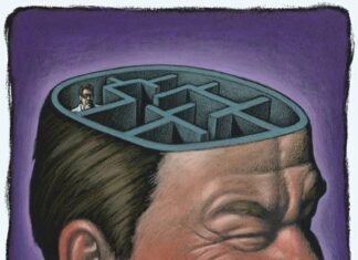 Neuro-científicos mejoran la memoria en ratones utilizando la genética y un nuevo fármaco