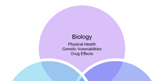 Diagrama con tres círculos superpuestos: factores biológicos, psicológicos y sociales del modelo biopsicosocial.