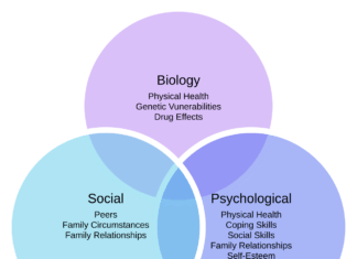 Modelo biopsicosocial: qué es, ejemplos y límites del enfoque Diagrama con tres círculos superpuestos: factores biológicos, psicológicos y sociales del modelo biopsicosocial.