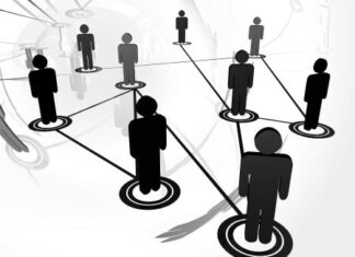 Normas y estatus en los grupos