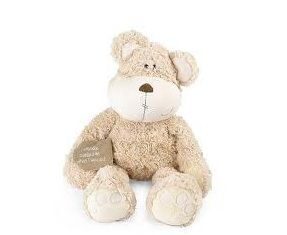 Estudio PsicoSociológico: ¿Nos afecta acariciar un Peluche en nuestras Decisiones?