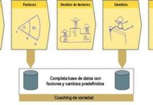 auto coaching