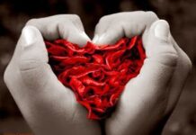 Corazón