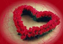 Corazón de rosas