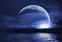 Mi Luna