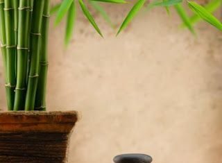 Feng Shui