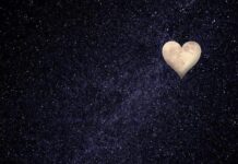 Cinco Bases del Amor Sano Cinco Bases del Amor Sano