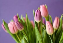 Diez Ideas para Sumar Más Amor a tu Relación Diez Ideas para Sumar Más Amor a tu Relación