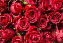 Regálate el Día de San Valentín para ti Regálate el Día de San Valentín para ti