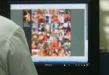 el sexo y el internet
