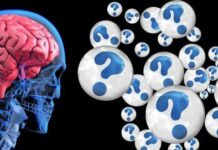 Cinco Consejos para Comprender el Alzhéimer Cinco Consejos para Comprender el Alzhéimer