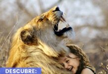 ¿Cuáles son las emociones de las personas?