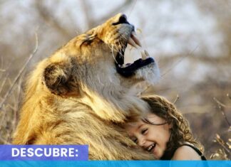 El Poder de las EMOCIONES ¿Cuáles son las emociones de las personas?