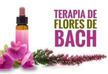 flores de Bach contra la depresión