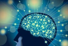 Importancia de un Psicólogo Psicologia 1