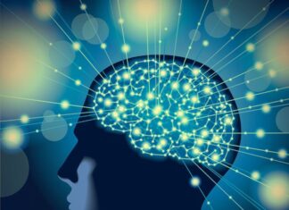 Importancia de un Psicólogo Psicologia 1