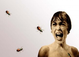Fobias extrañas y AYUDA DE TERAPEUTAS Entomofobia