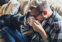 Los beneficios de vivir con un gato