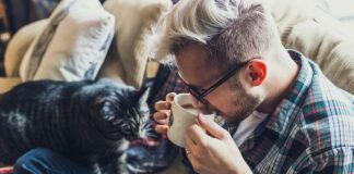 Los beneficios de vivir con un gato