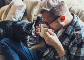 Los beneficios de vivir con un gato