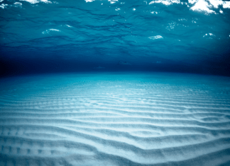 Talasofobia: Cuando el Mar causa MIEDO talasofobia
